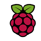 Raspberry Pi Introduction icon